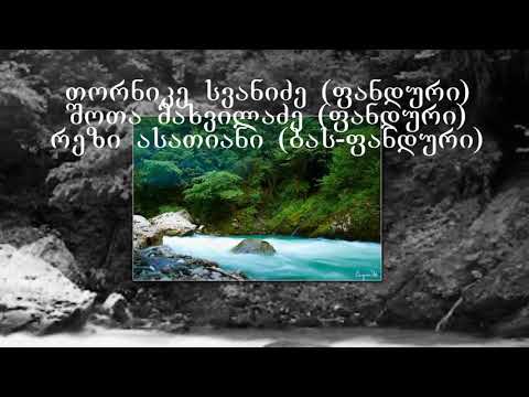 აფხაზეთის მიწაზე - შოთიკო მახვილაძე  თორნიკე სვანიძე  რეზო ასათიანი