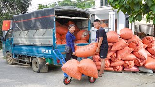 Download Lagu Use Trucks To Buy 3000kg of Corn Kernels to Sell to Villagers | My Farm / Đào MP3 Download Lagu Use Trucks To Buy 3000kg of Corn Kernels to Sell to Villagers | My Farm / Đào MP3