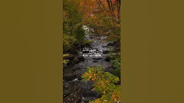 ألم يأن للذين ءامنوا ان تخشع قلوبهم - سورة #الحديد - القارئ الشيخ #محمد_حسين_عامر#رمضان#اليمن#القران