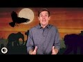 Animal Mourning and Emotions