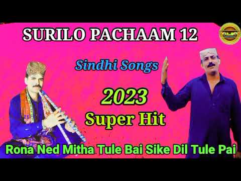 Ven Kang Udami Tu Sindhi Song Algoza Sindhimusic Algoza Youtubeshorts Viralvideo Uraschandio