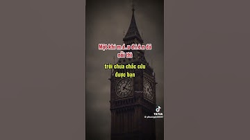 12 cung hoàng đạo #chđcungmeo #12cunghoangdao #cunghoangdao #đăngkíkênh #xuhuong #music