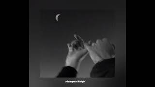 Lia Shine - Aden