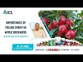 Importance of foliar spray in Apple orchards (Before and After)