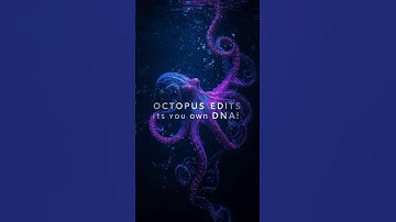 “Octopuses Can Edit Their Own DNA in Real Time”