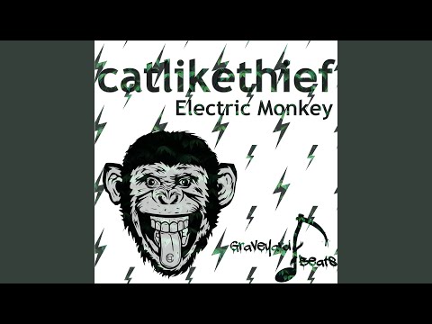 Electric Monkey