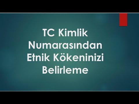 Video: Irk kimliği modeli nedir?