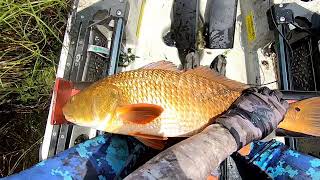 Catching Redfish in Reggio