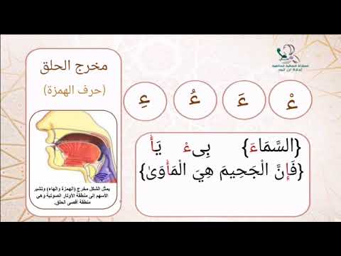 تدريبات للمخارج الهمزة د أيمن سويد