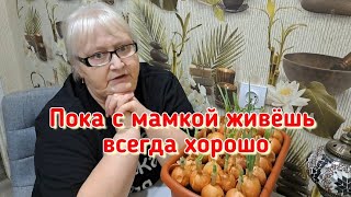 Ничего особенного в моей пенсионерской жизни сегодня не происходило, но вы должны об этом знать.