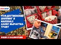 Рождественский шоппинг в Marshals // Алекс вырастил траву // Влог США