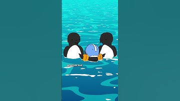 Common murre chicks leap off cliffs before they can fly, bouncing off rocks on the way to the ocean.