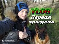 VLOG:Первая прогулка с собакой! Гуляем с немецкой овчаркой Ремой