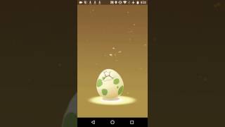 Pokémongo - 2Km Egg Hatch And A Rare Sighting