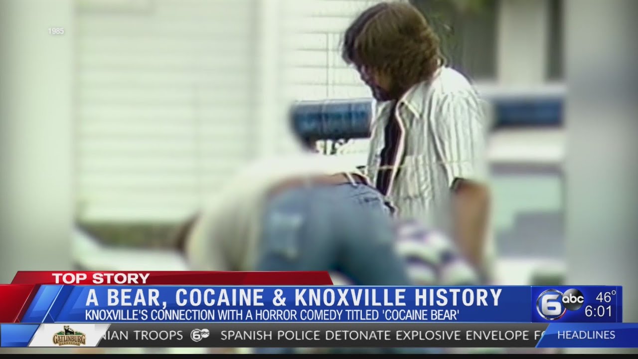 A Bear, Cocaine and Knoxville History – WATE 6 On Your Side