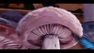 SATELLITE (Official video) - HamsandwicH