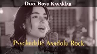Dere Boyu Kavaklar (Psychedelic Anadolu Rock Cover) | Modern Turkish Folk