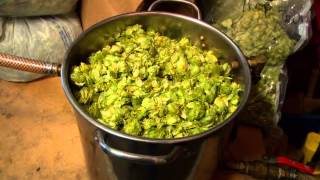 John Deere: Home Brew Video by JD MachineFinder 125 views 10 years ago 3 minutes, 45 seconds