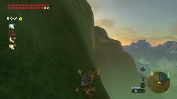 Not the Master Cycle Zero😭#botw #glitch