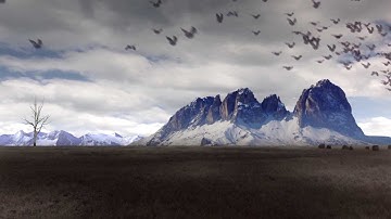 How to Create in After Effects Sky Parallax, Cloud Shadow Paralax, and adding Birds