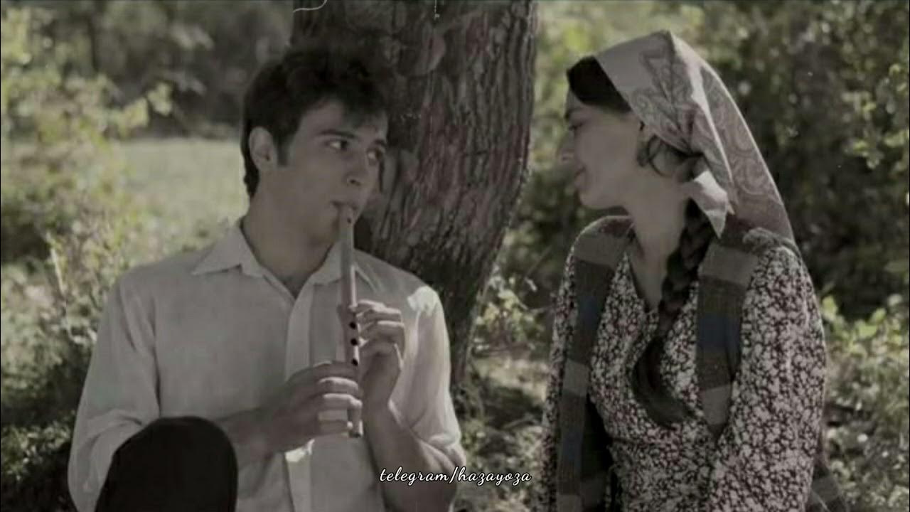 седагет керимова яргунат. ярмет лезгинский фильм. седагет керимова фильмы. холодное солнце фильм лезгинский. яргунат.