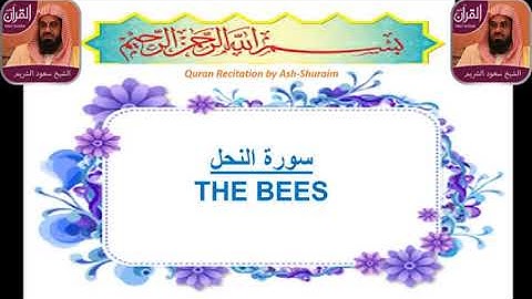 16. The Bees - An Nahl - سورة النحل - Sheikh Shuraim