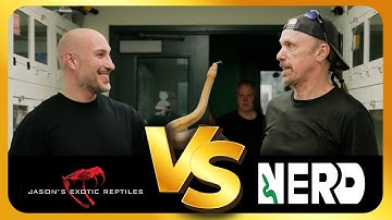 Boas vs Ball Pythons: What Kevin McCurley Really Thinks (Unfiltered Debate)