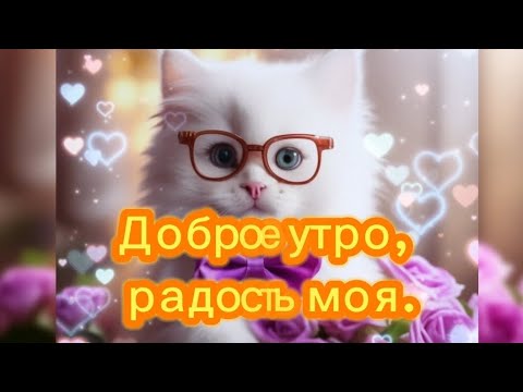 🌞Доброе утро, радость моя! Хорошего дня!♥️