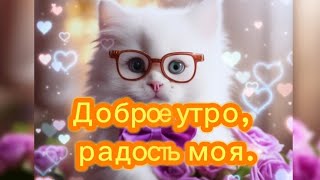 🌞Доброе утро, радость моя! Хорошего дня!♥️