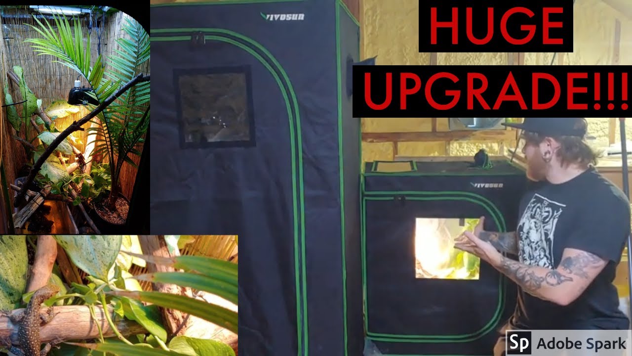 video phone beyonce mp3 NEW Quince Monitor Enclosure! (Big Grow Tent Enclosure)