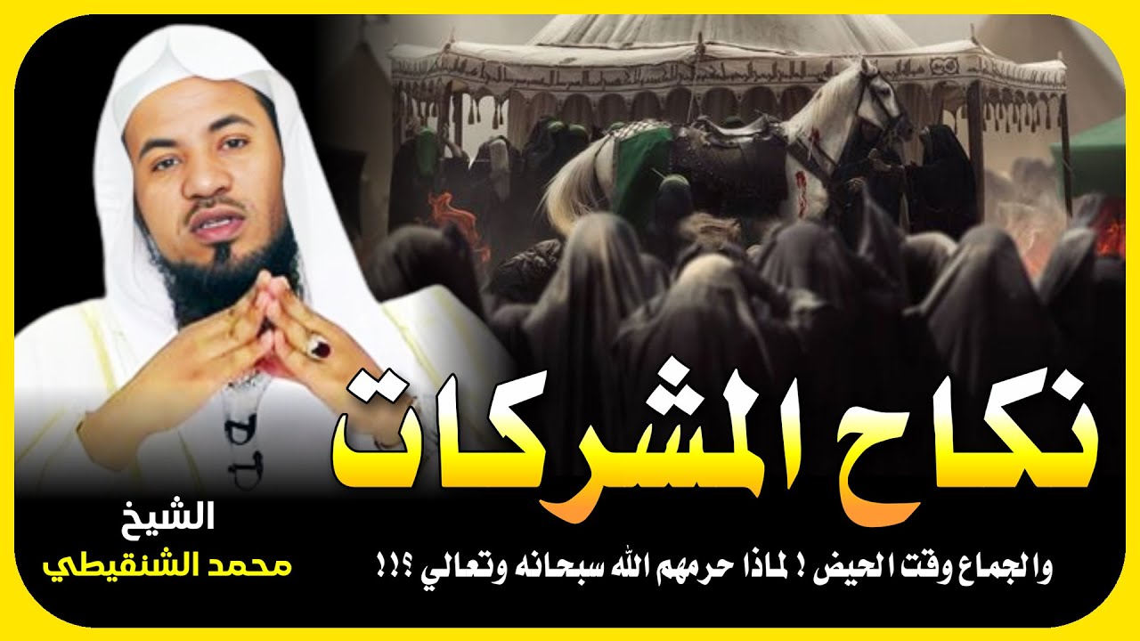 الشيخ محمد الشنقيطي 🎙️ نكاح المشركات والجماع وقت الحيض ! لماذا حرمهم الله؟؟! ✨