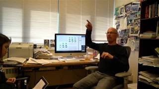 The study of the brain patterns