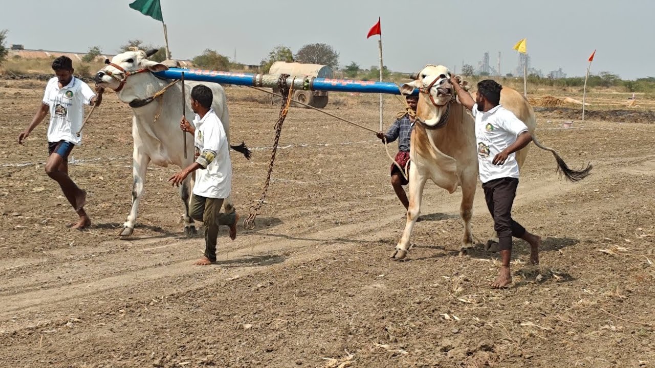 తలపనూరు 6పల్లలో,6వ జత,బోరెడ్డి.జనార్దన్ రెడ్డి గారు,పెద్దకొట్టాల