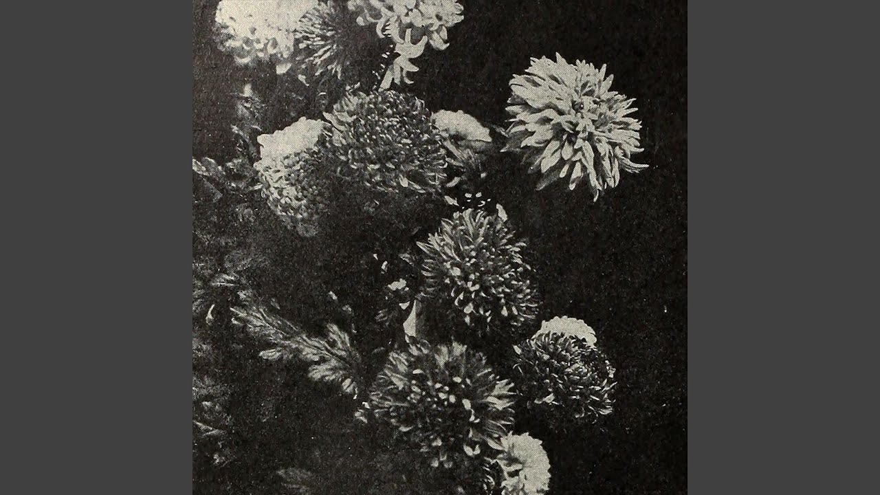 Cortina (1944 Rave edit) - Dino Spiluttini Rework