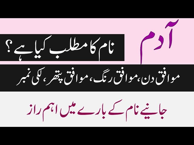 Knickers Meaning In Urdu - اردو معنی