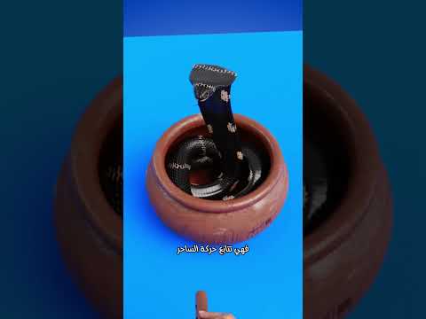 هل ترقص الأفعى حق ا على صوت المزمار الحقيقة الصادمة