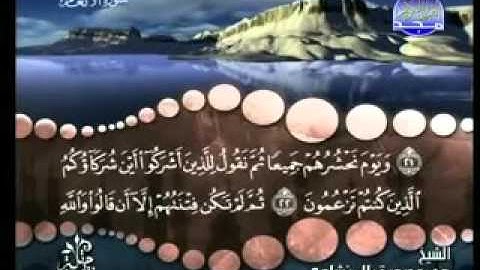 سورة الأنعام من آية 20 إلى  آية 28