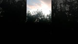 21 июля 2022 г.