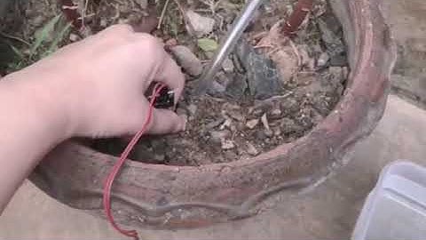 Iot watering plants - soil moisture sensor using esp32 and blynk