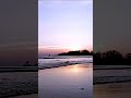 Sunset Ocean Ambience 🌊