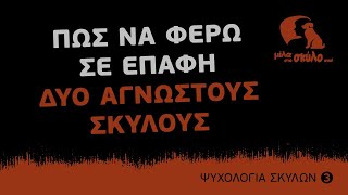 ΨΥΧΟΛΟΓΙΑ ΣΚΥΛΩΝ #3  Πώς να φέρω σε επαφή 2 άγνωστους σκύλους;  ΜΙΛΑ ΣΤΟ ΣΚΥΛΟ ΣΟΥ