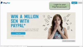 Add multiple currencies in PayPal account