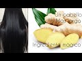 crece tu cabello en días...con un Solo ingrediente🧡