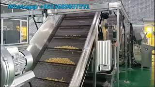 Fried Bugles / Cone Shape Fried Snack Chips Manufacturing Machine Line Equipment Plant