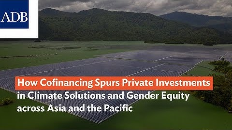 How Cofinancing Spurs Private Investments in Climate Solutions and Gender Equity