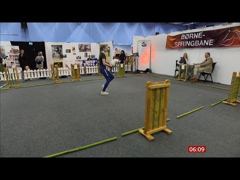 hobby-horse-show-jumpers-(fun-story)-(denmark)---bbc-news---30th-september-2019
