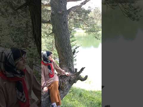 LİMNİ GÖLÜ/ ZERMUT