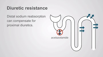 Diuretic resistance