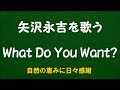 『What Do You Want?』/矢沢永吉を歌う_6050 by 自然の恵みに日々感謝