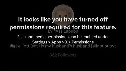 Fix X Twitter Het lijkt erop dat u de vereiste machtigingen voor deze functie hebt uitgeschakeld ...